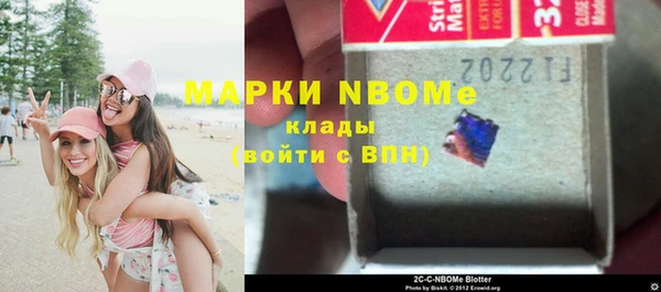 сатива Аркадак