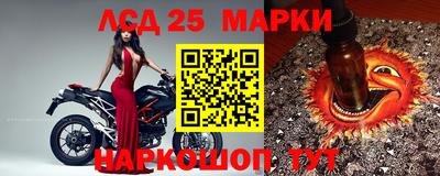 прущие грибы Абинск