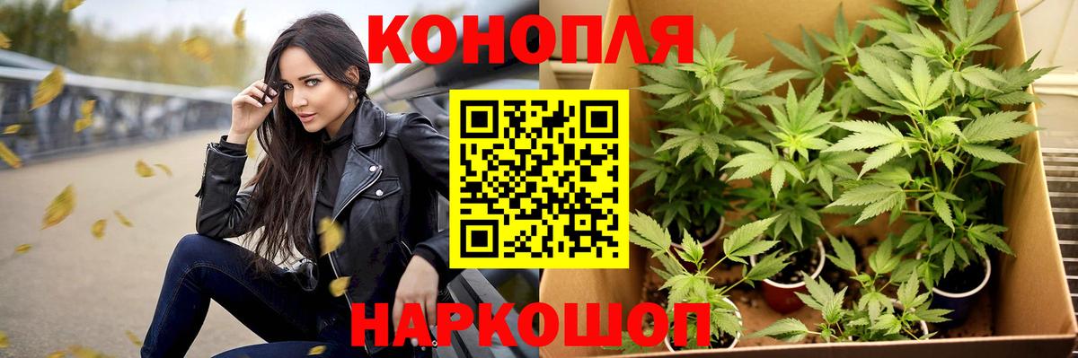 МАРИХУАНА ГИДРОПОН Астрахань